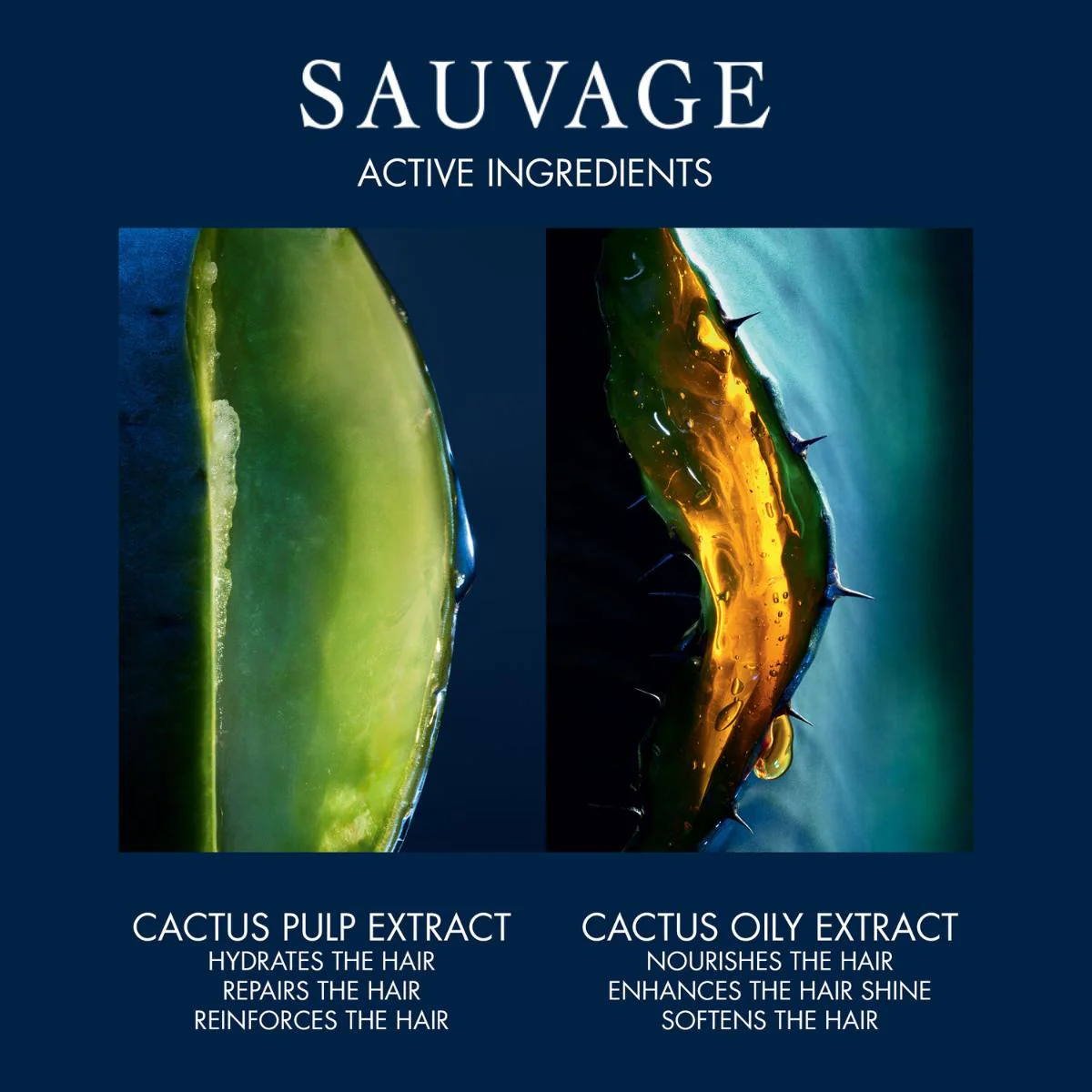Sauvage Hair Serum Taming and Hydrating Hair Serum - Image 3