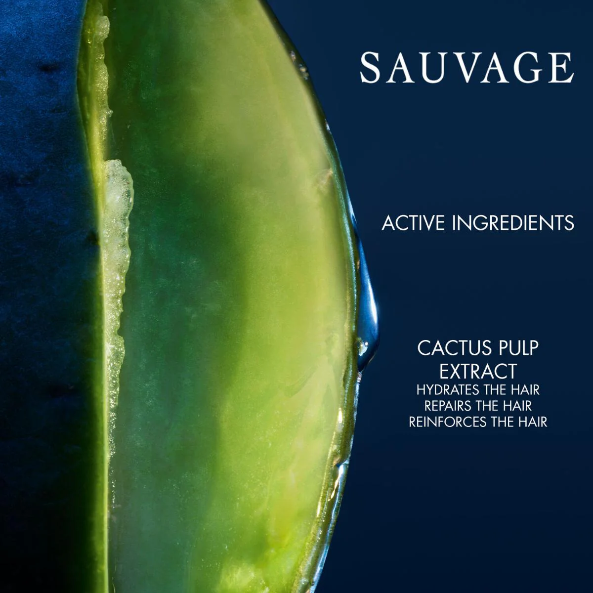 Sauvage Hydrating Shampoo Hydrating and Softening Men's Shampoo - Image 3