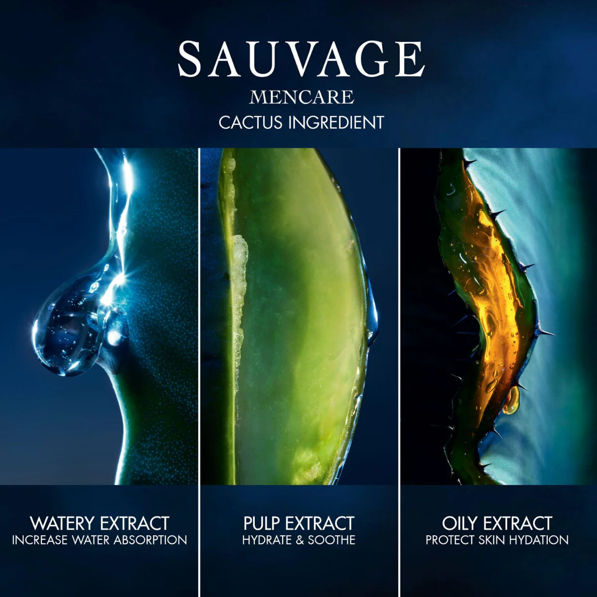 Sauvage Skincare Ritual Kit - Image 2