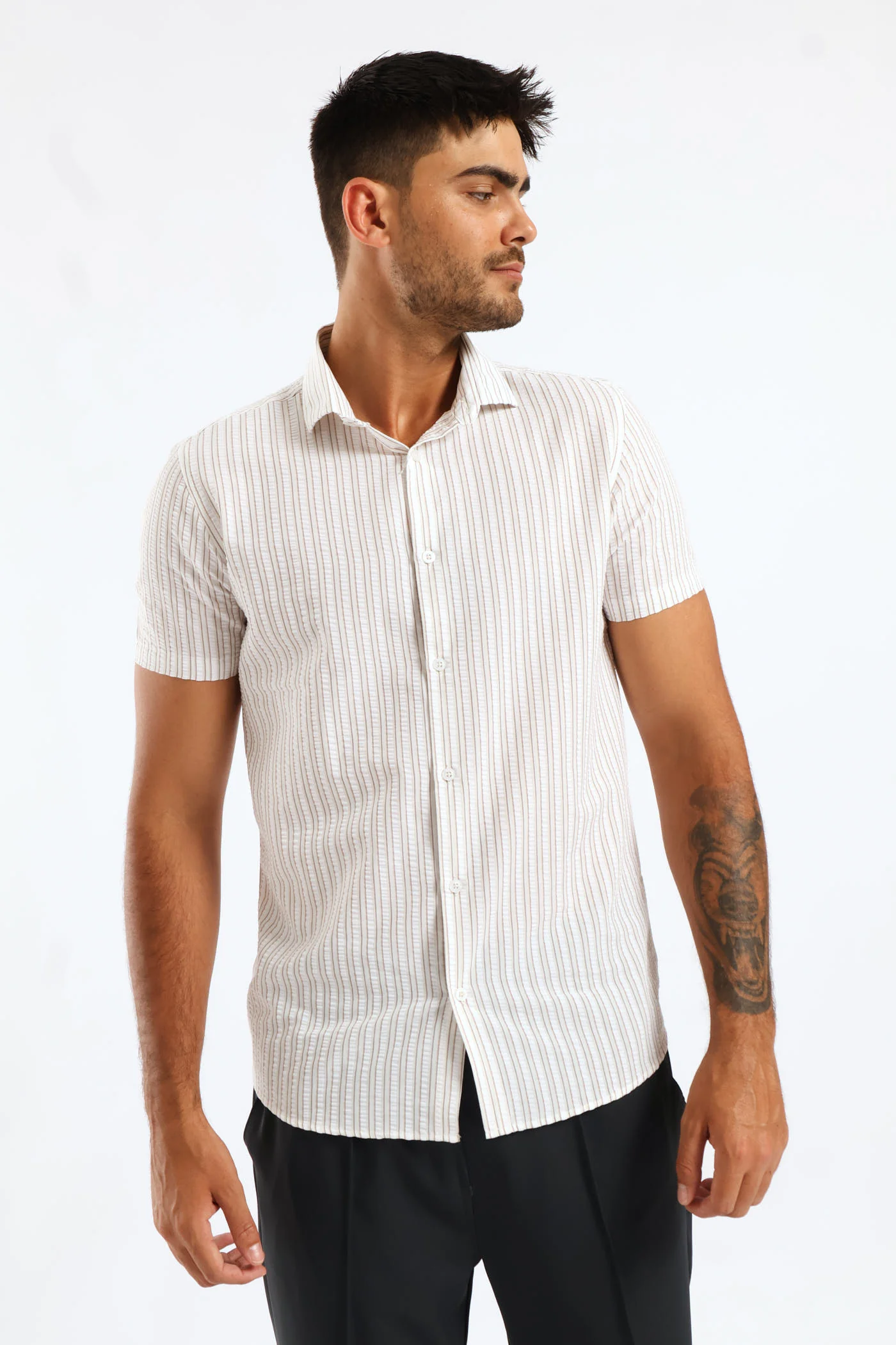 Double Stripe Textured Shirt - Stone/White - Image 3