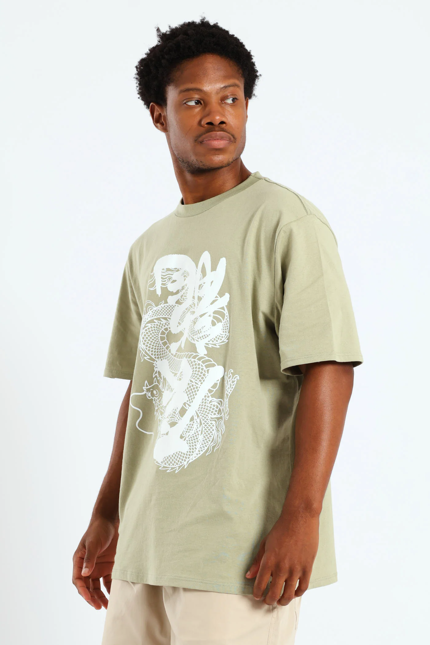 Dragon Print Tee - Sage - Image 3
