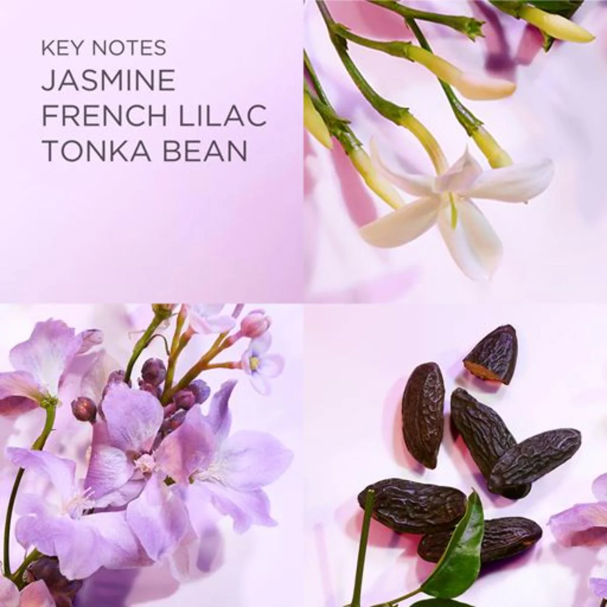 White Tea Eau Lilac Eau de Toilette - Image 8