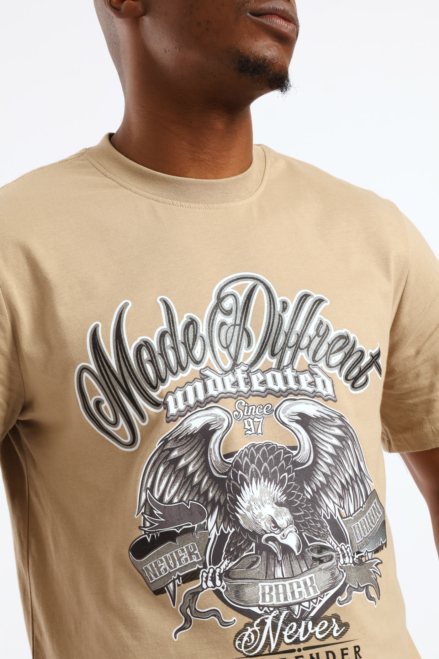 Eagle Print Tee - Taupe - Image 2