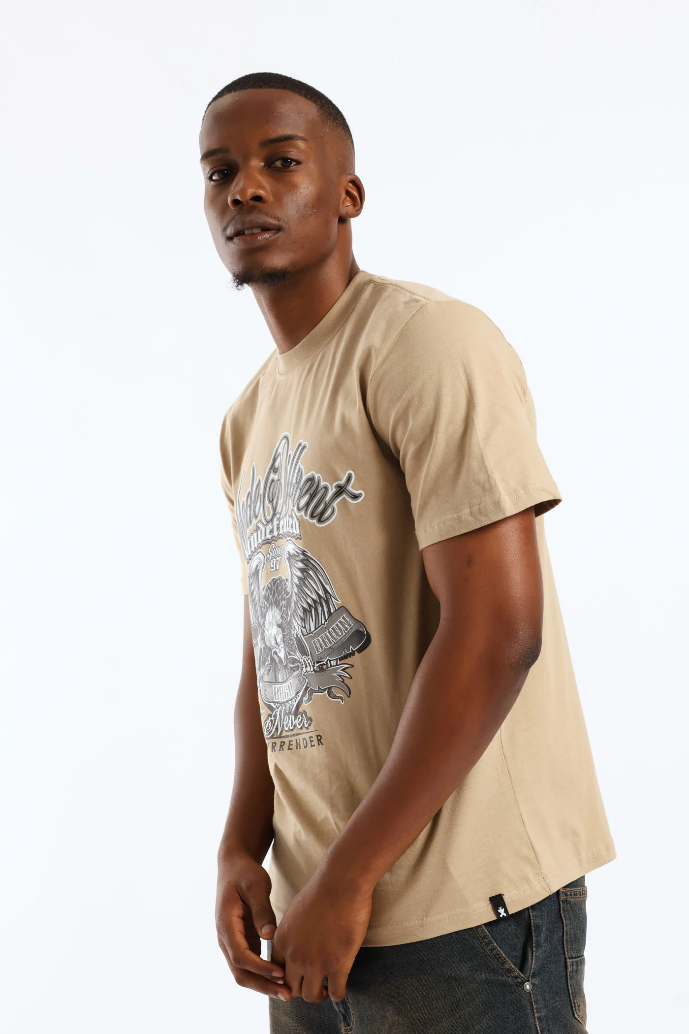 Eagle Print Tee - Taupe - Image 6