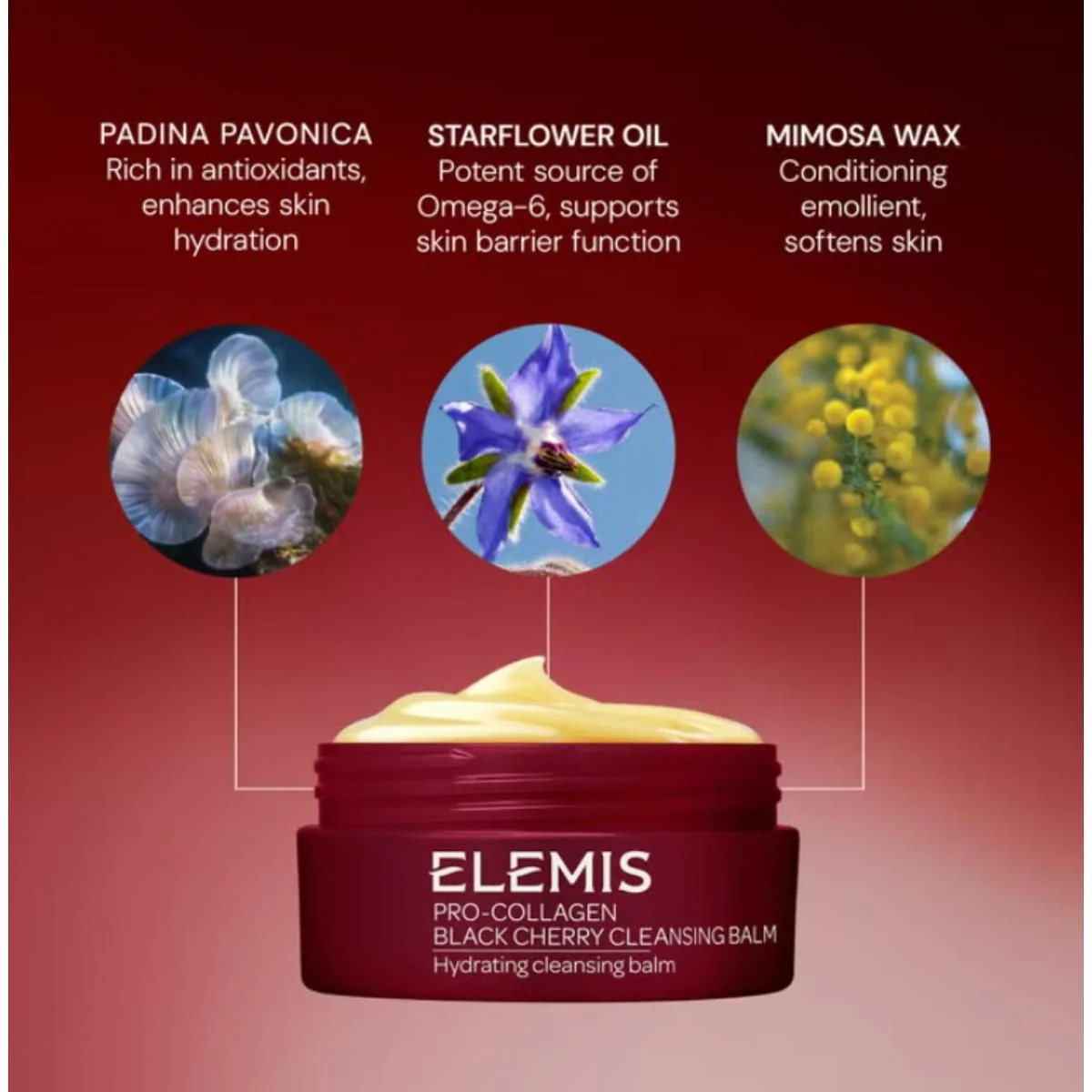 Pro-Collagen Black Cherry Cleansing Balm - Image 10