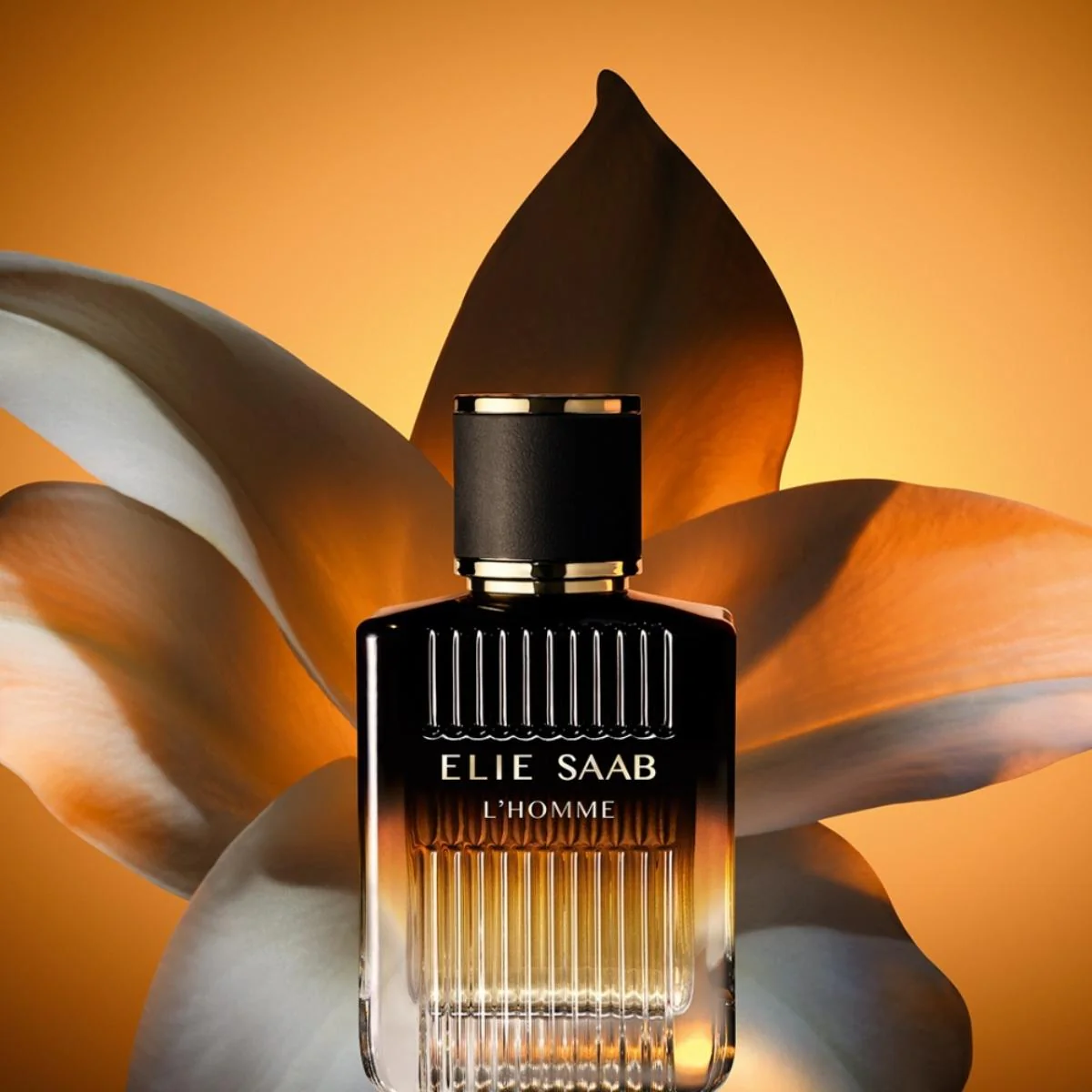 L'HOMME INTENSE EAU DE PARFUM - Image 11