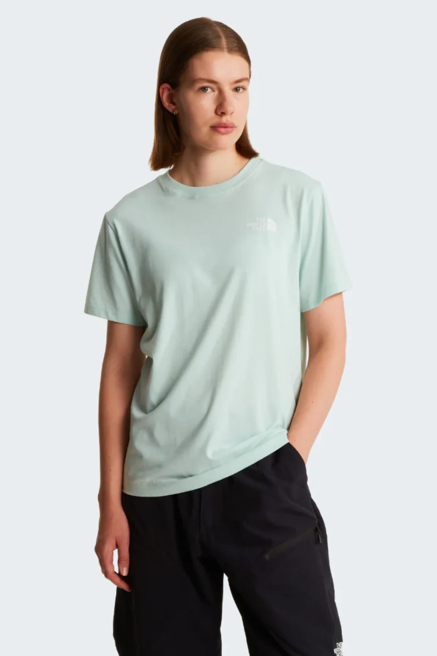 Evolution Box Nse Relaxed Short Sleeve Tee - Mint - Image 2