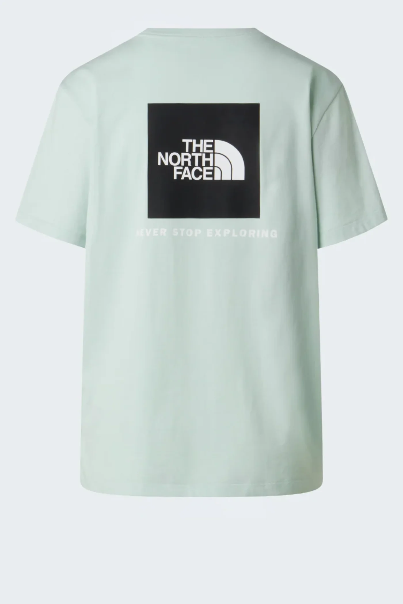 Evolution Box Nse Relaxed Short Sleeve Tee - Mint - Image 3
