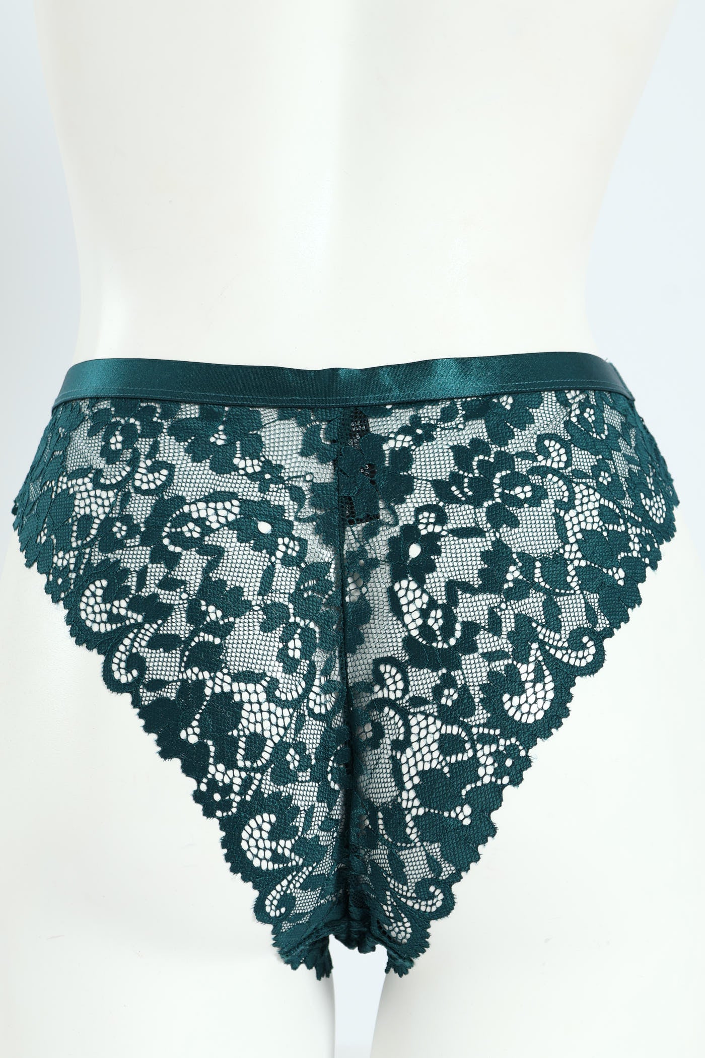 Full Lace Shimmer Waistband Hicut Panty - Teal - Image 2
