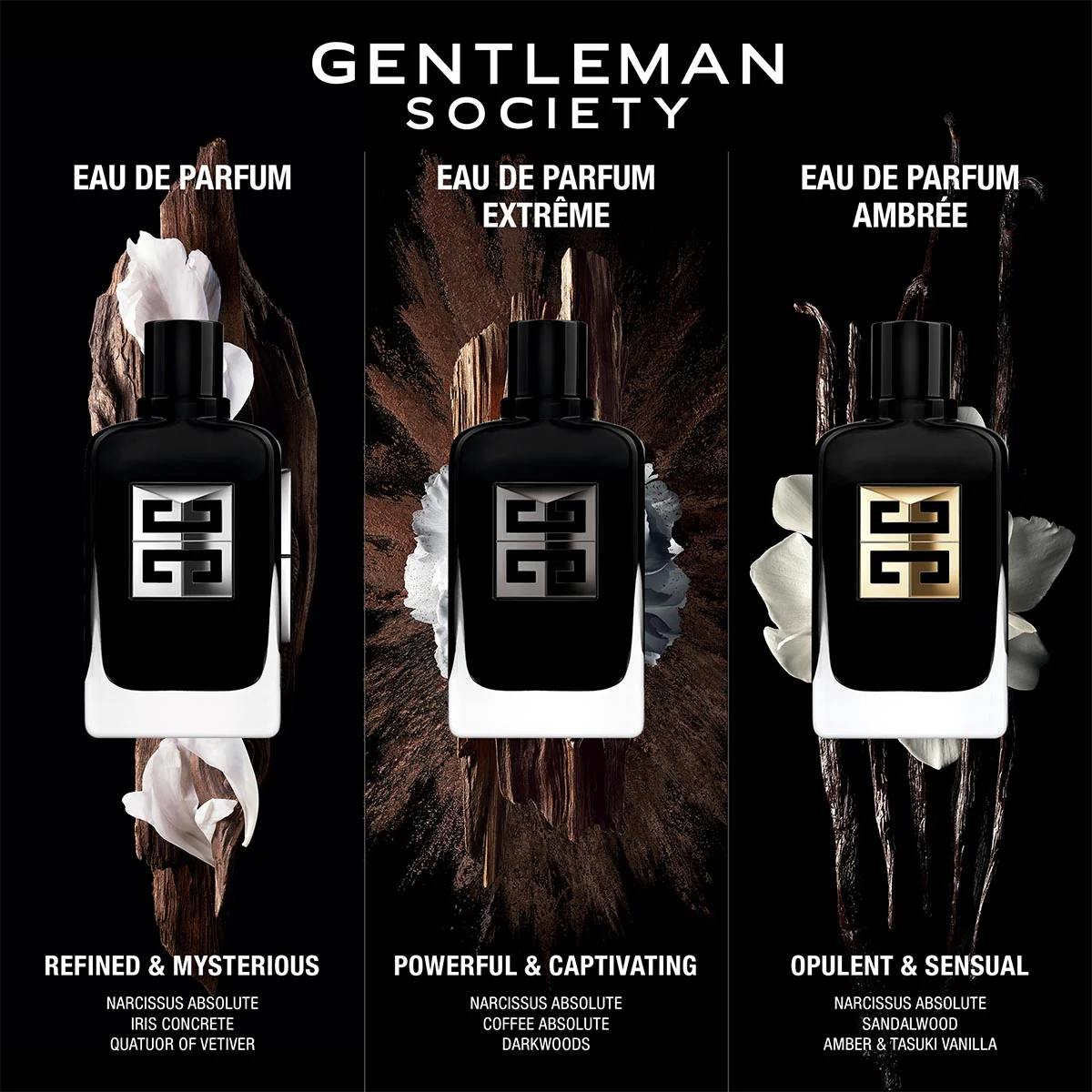 Gentleman Society  Eau de Parfum  Ambree - Image 7