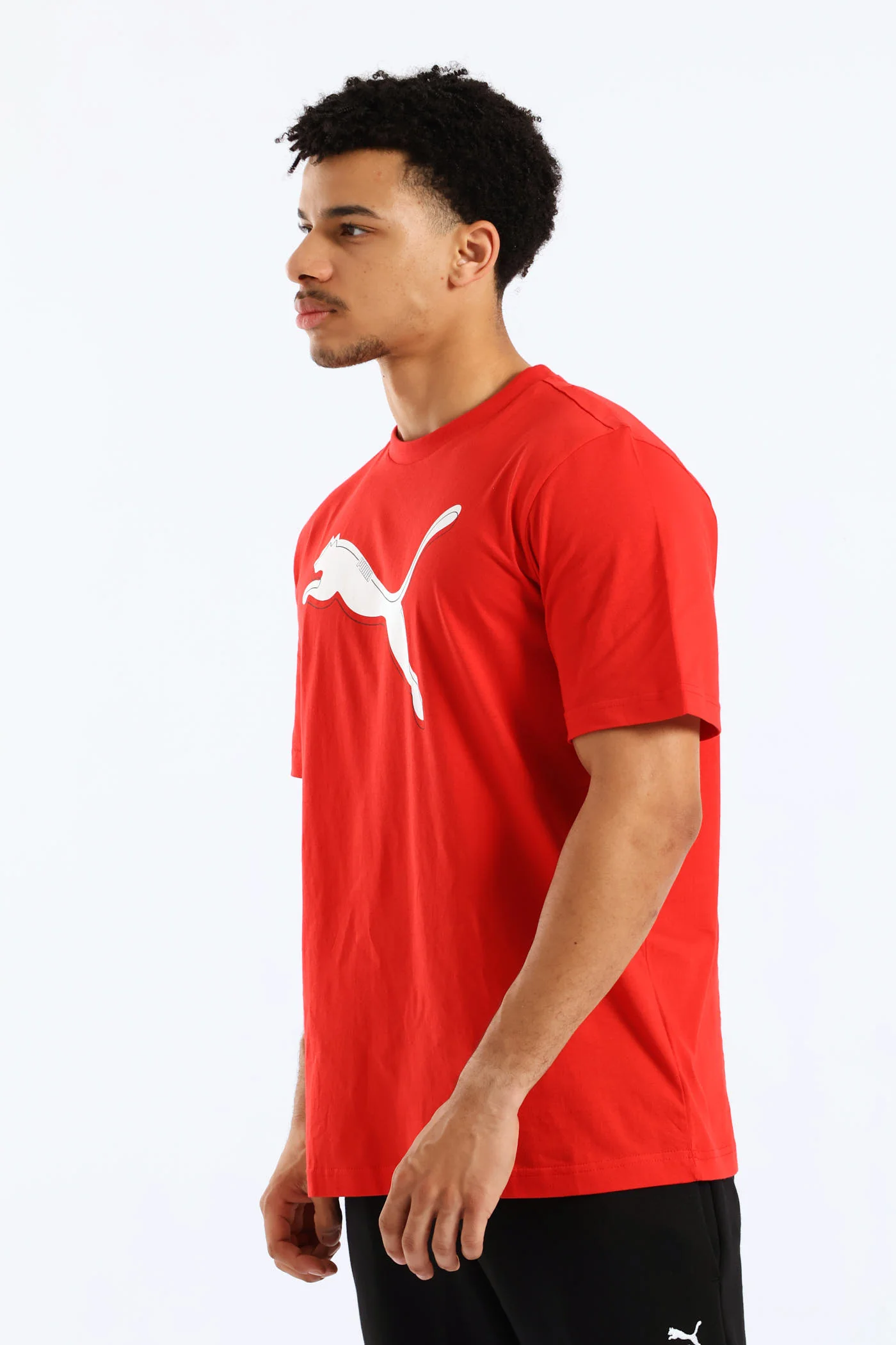Graphic Cat Logo Tee - Red - Image 3