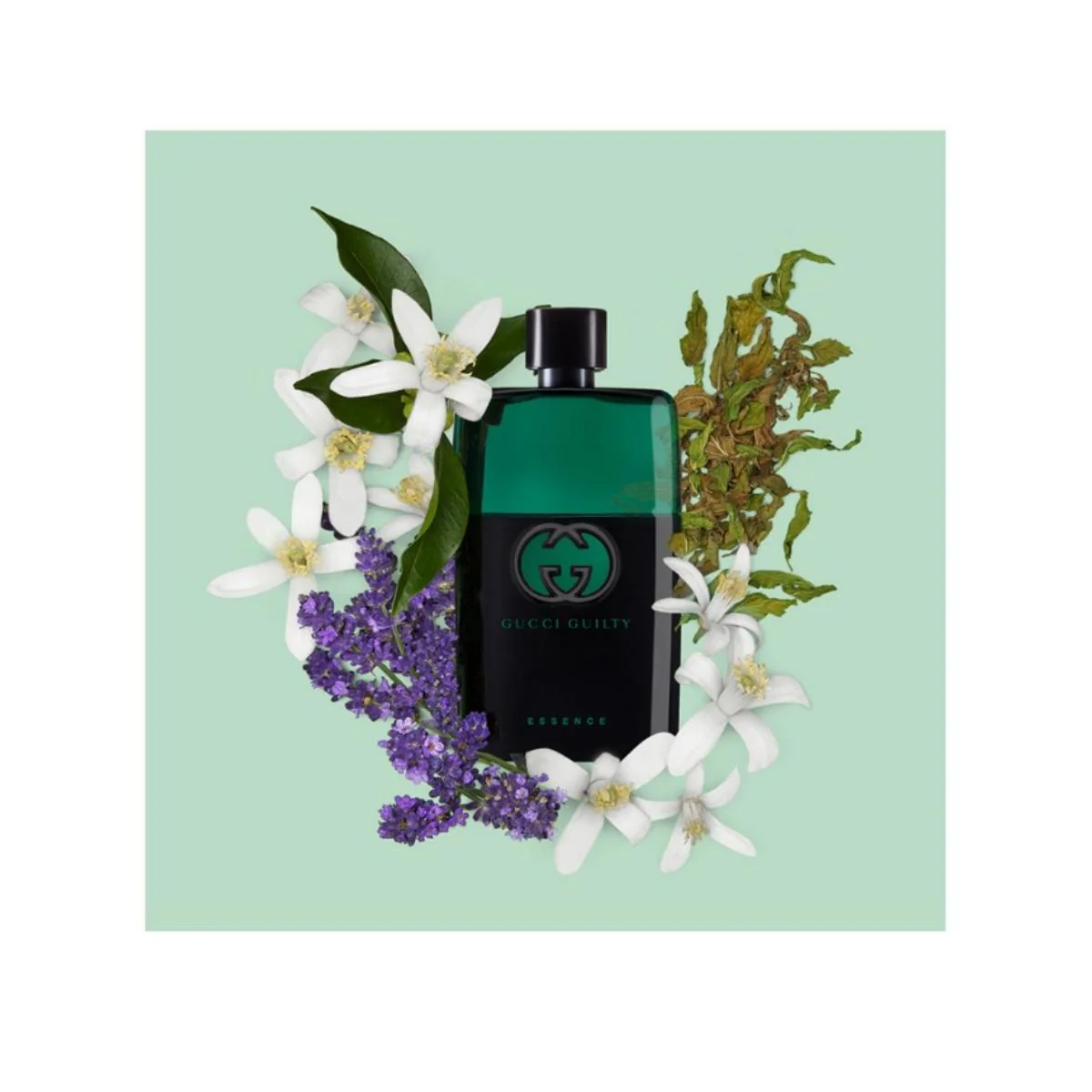 Guilty Essence Pour Homme Eau de Toilette - Image 3