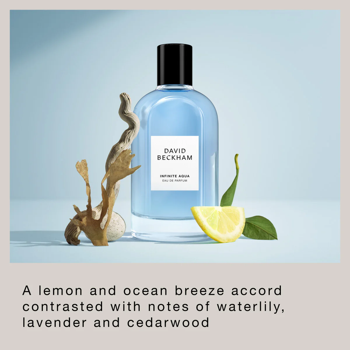 Infinite Aqua - Eau de Parfum for Him - Image 5