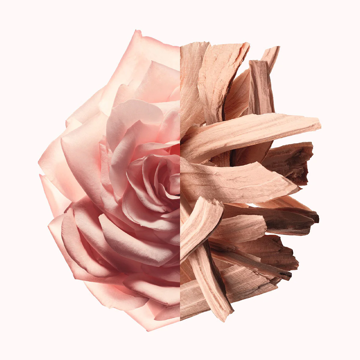 Irresistible Nude Velvet Eau de Parfum - Image 6
