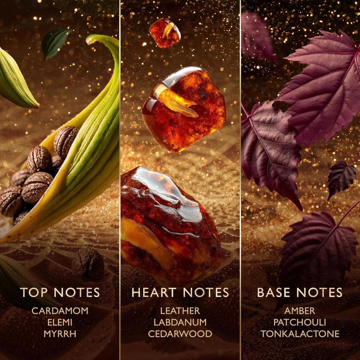 Amberwood Nomad Eau de Parfum - Image 3