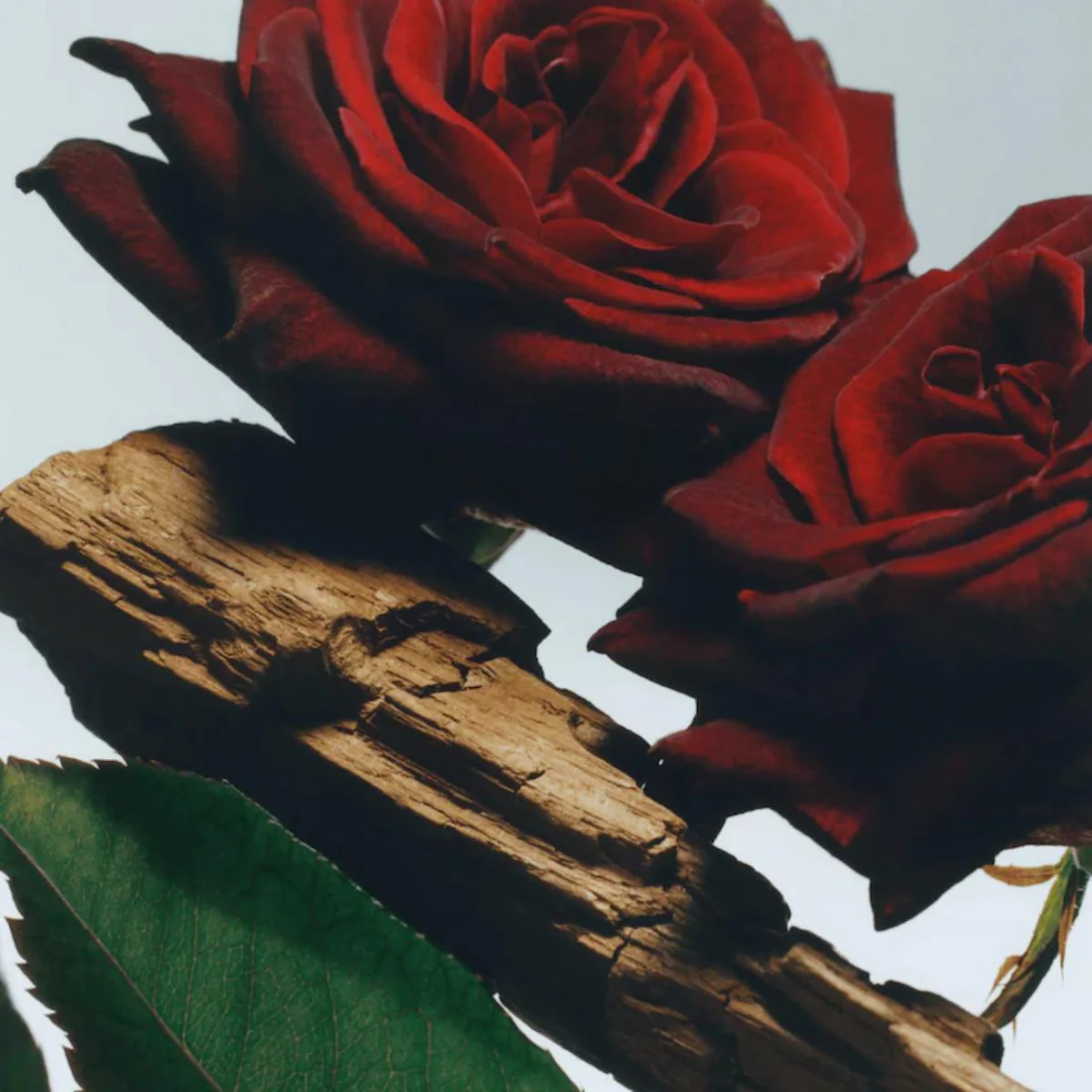 Velvet Rose & Oud Body & Hand Wash - Image 3