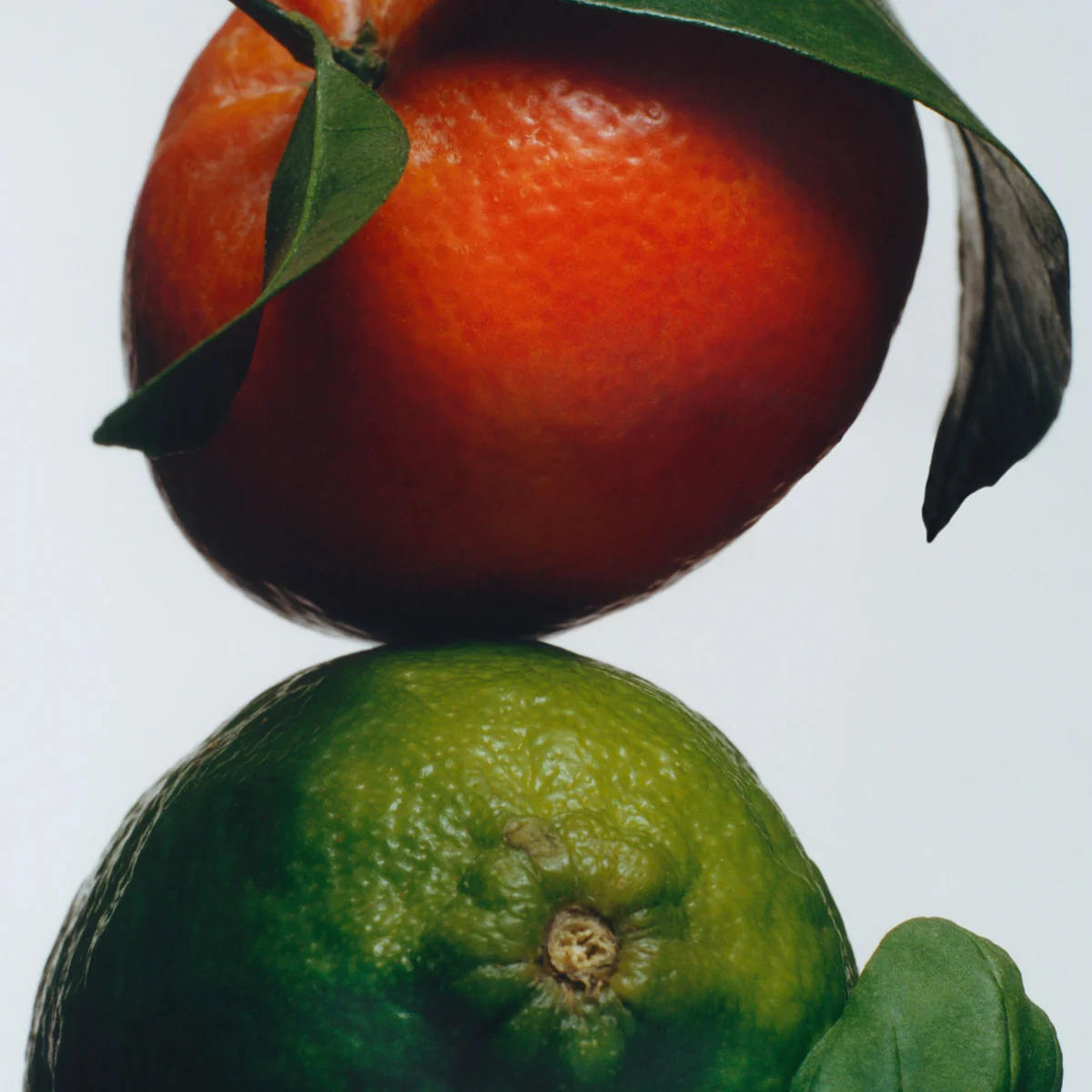 Lime Basil & Mandarin Diffuser REFILL - 165ML - Image 4