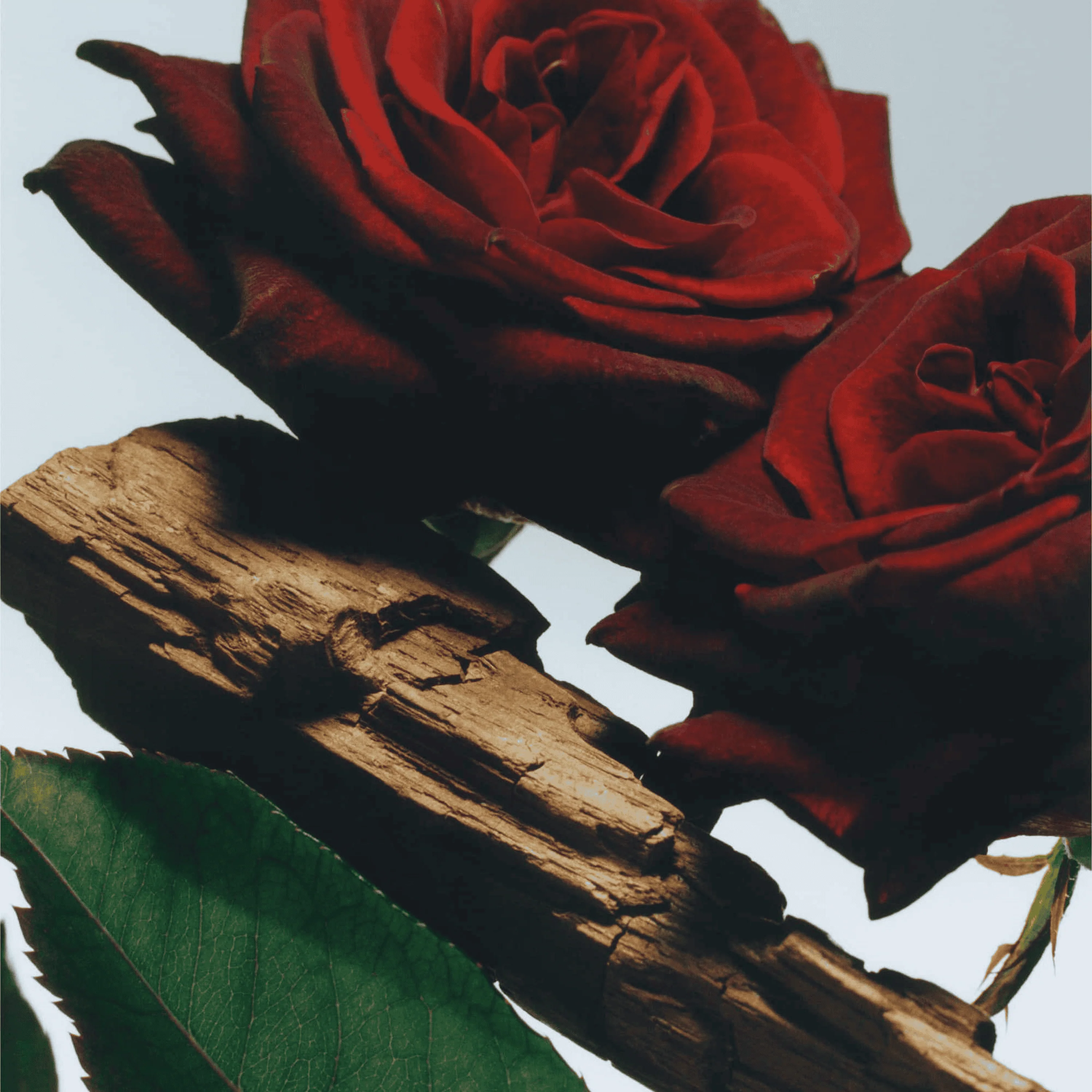 Velvet Rose & Oud All Over Body Spray - Image 3