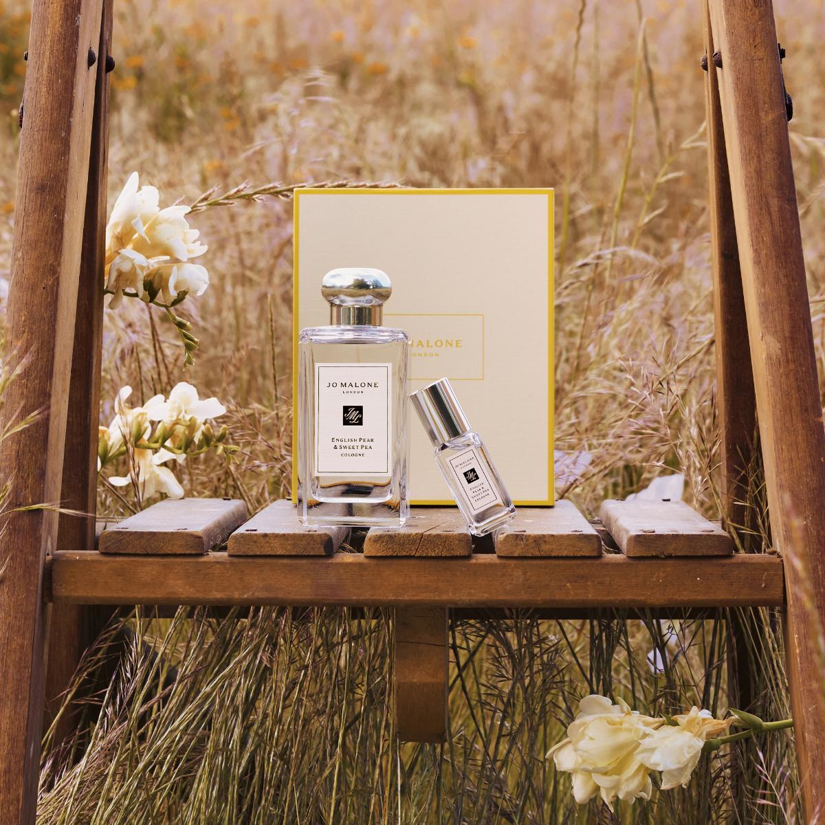 English Pear Discovery Collection - Image 3
