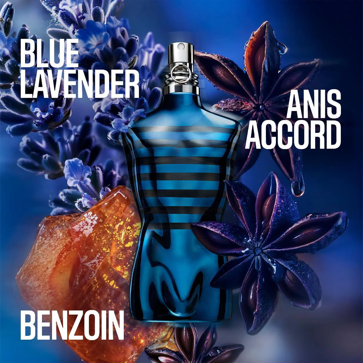 Le Male In Blue Eau De Parfum - Image 3