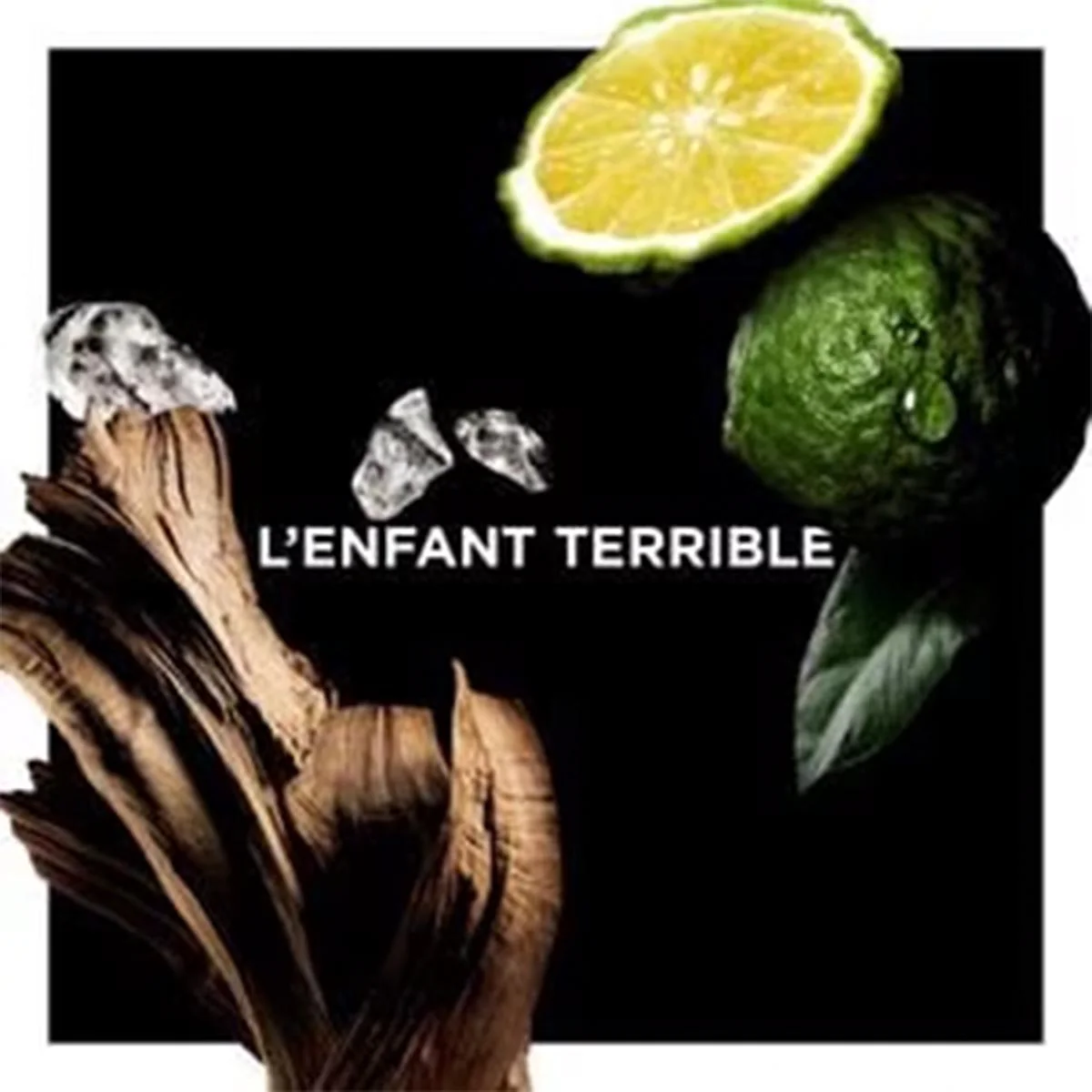 La Collection Particulière  L'Enfant Terrible Eau de Parfum - Image 3