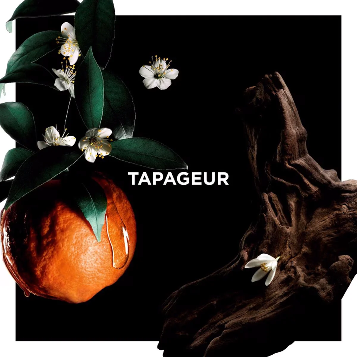 La Collection Particulière  Tapaguer Eau de Parfum - Image 3