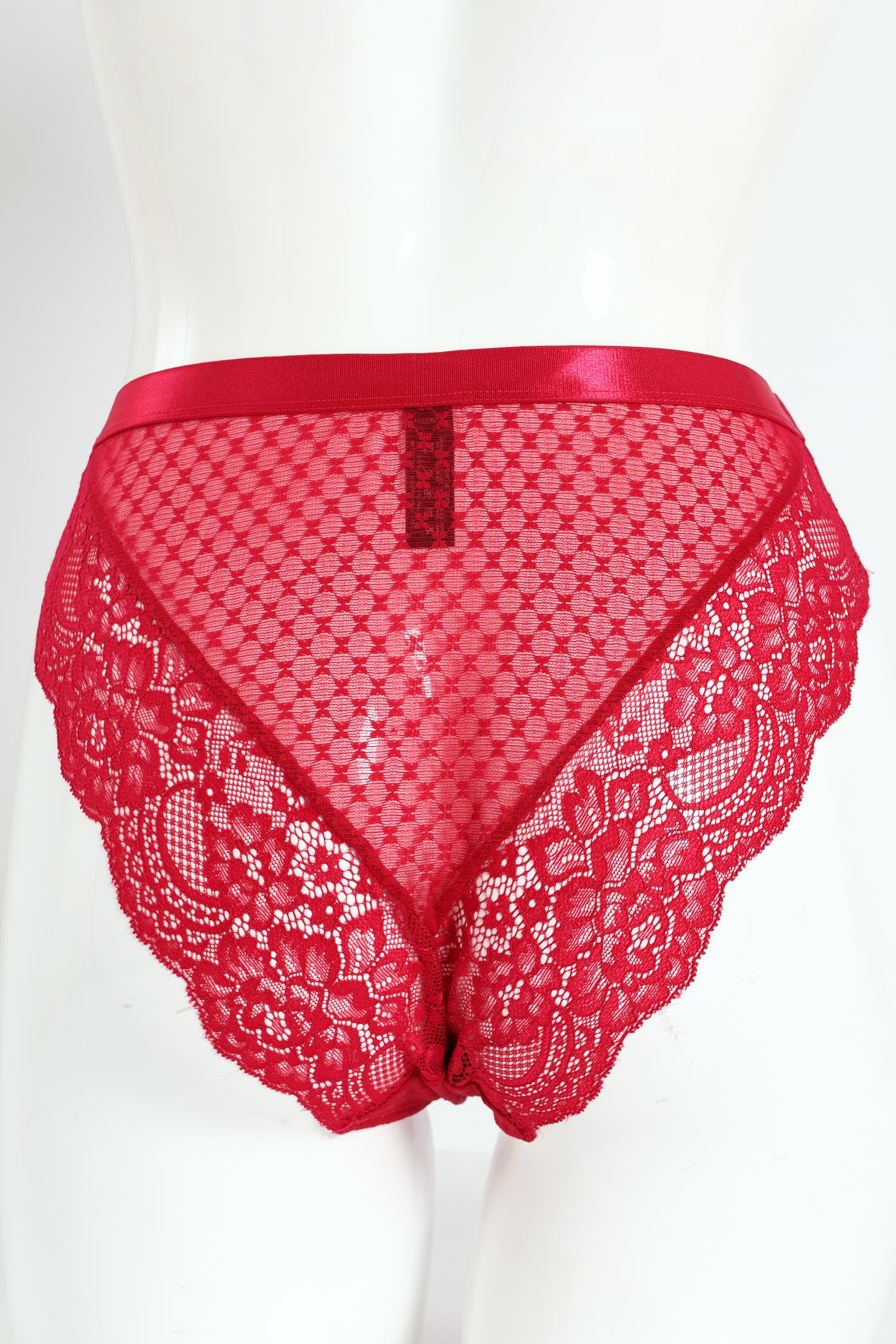 Lace & Dobby Mesh Hi Cut Panty - Raspberry - Image 2