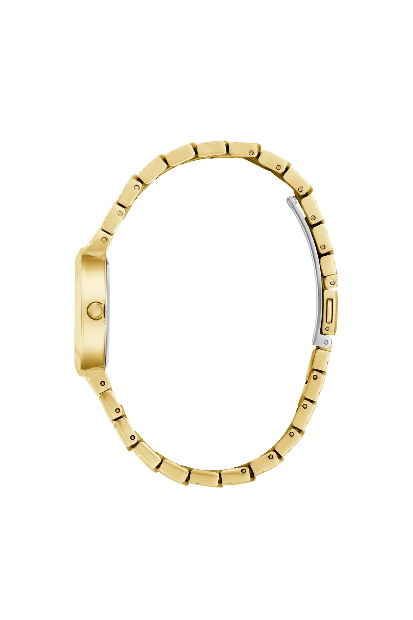 Laguna Green Round Dial Analog Watch - Gold - Image 5
