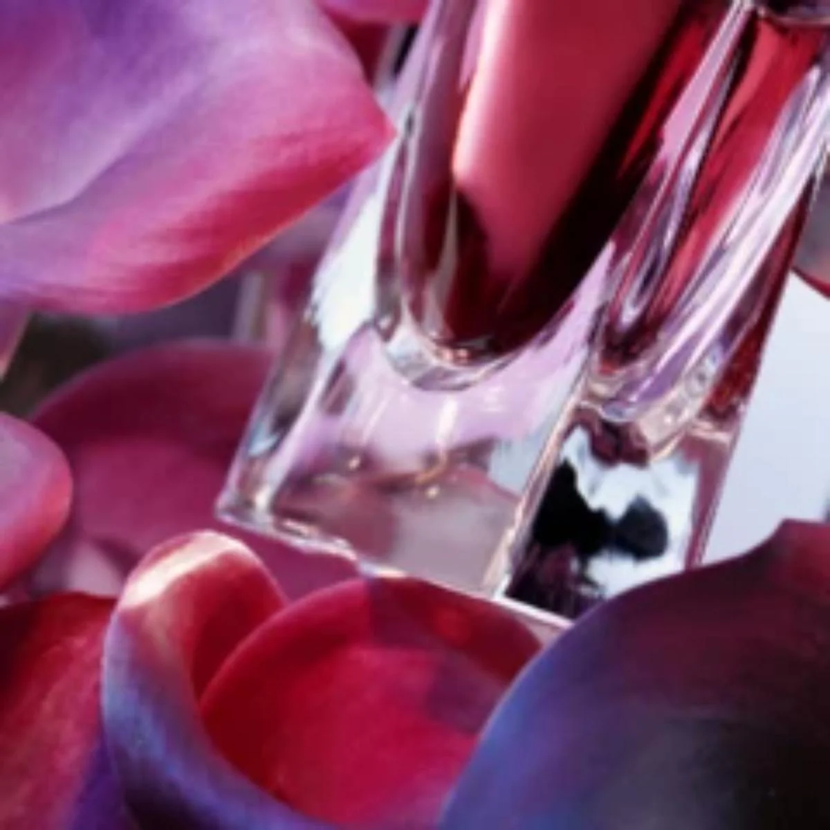 La Vie Est Belle L'Elixir Eau de Parfum REFILL - 100ML - Image 7
