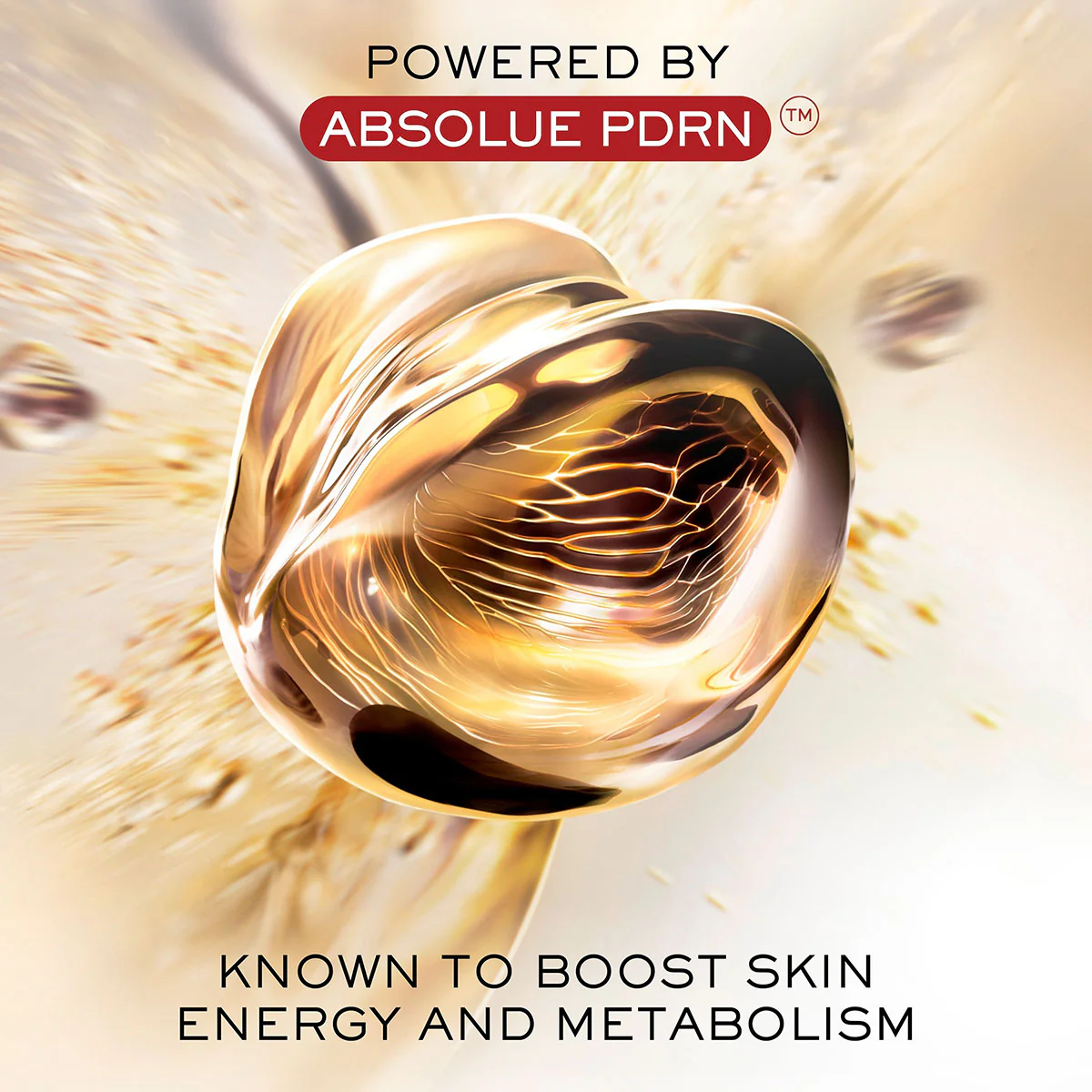 Lancôme Absolue Longevity Set - Holiday Limited Edition - Image 8