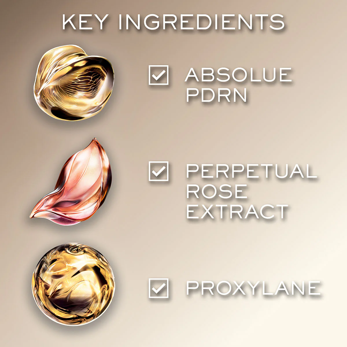 Absolue Longevity Gift Set - Image 9