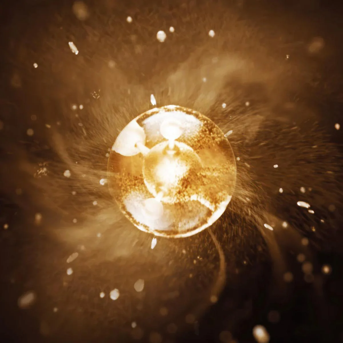 Pure Gold Radiance Cream REFILL - Image 3