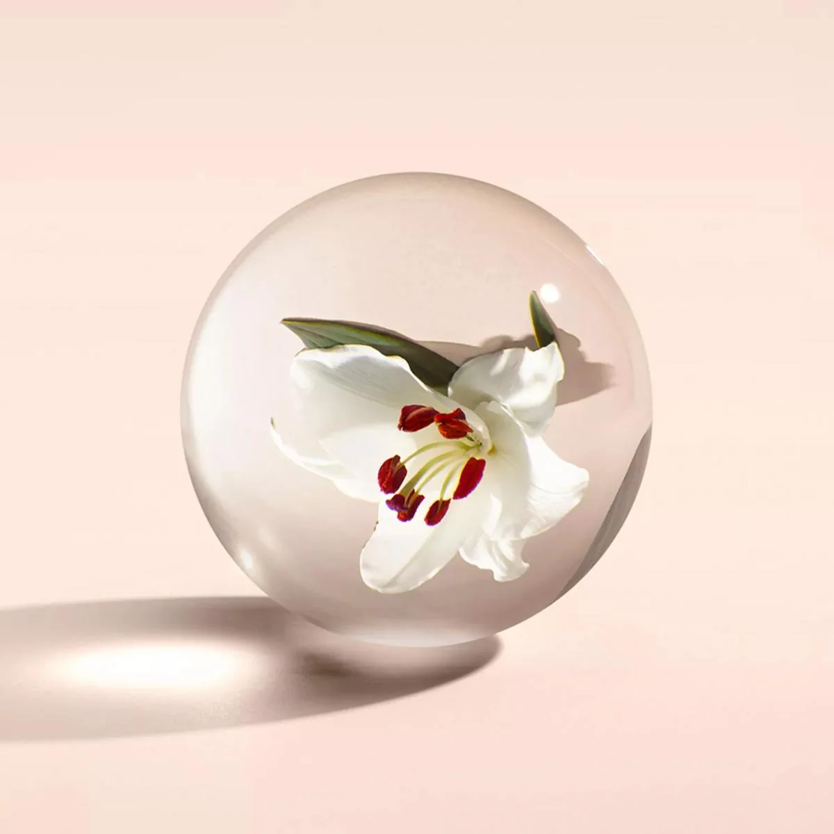 Heavenly Gingerlily Hand Cream - 40ML - Image 4