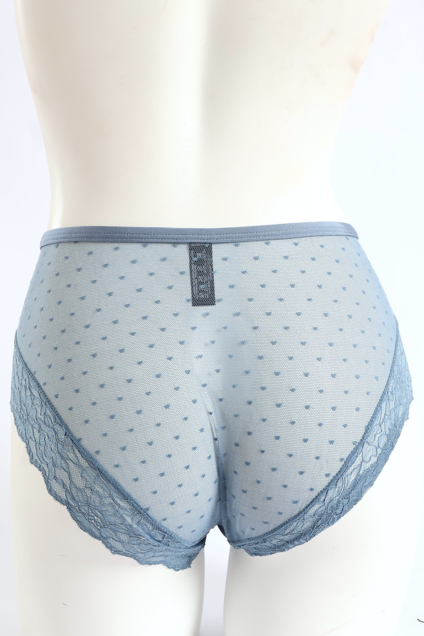 Microfibre & Lace Boyleg Panty - Blue - Image 3