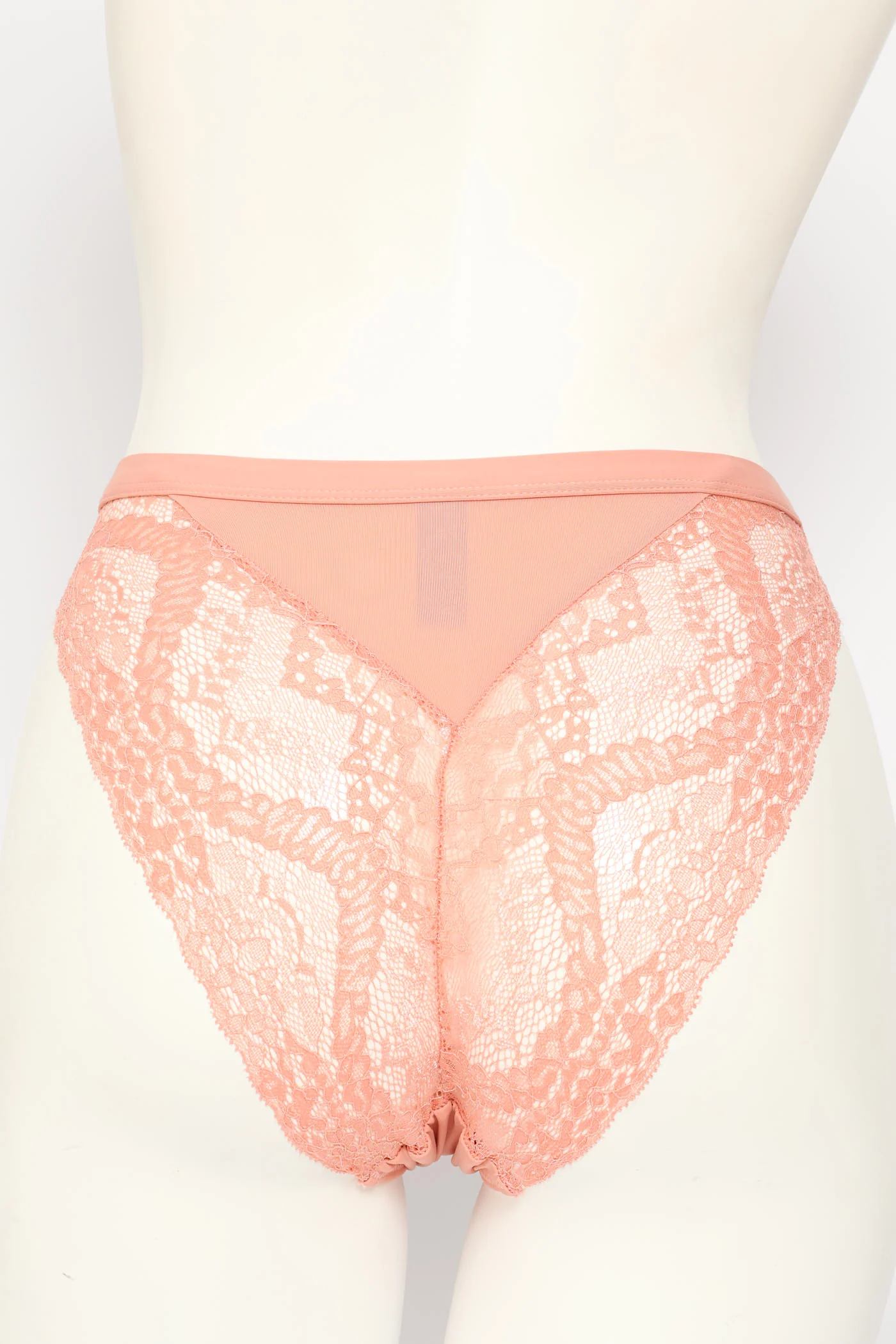 Microfibre & Lace Hi-Cut Panty - Rosetta - Image 2