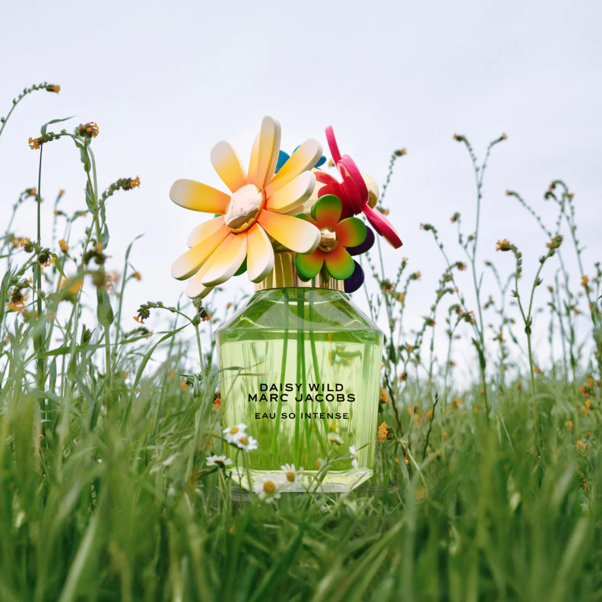 Daisy Wild Eau So Intense Eau de Parfum - Image 12