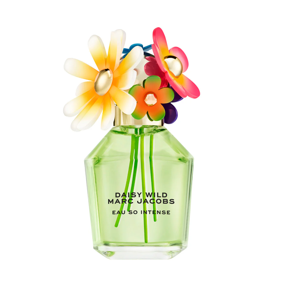 Daisy Wild Eau So Intense Eau de Parfum - Image 8