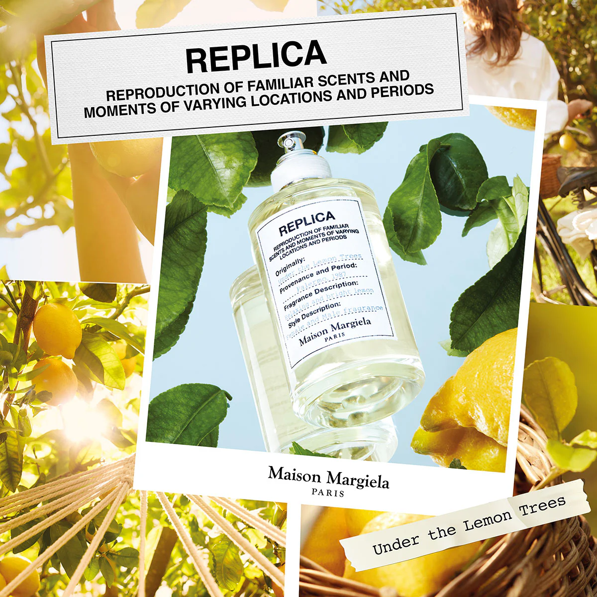 Replica Under The Lemon Trees Eau de Toilette - Image 6