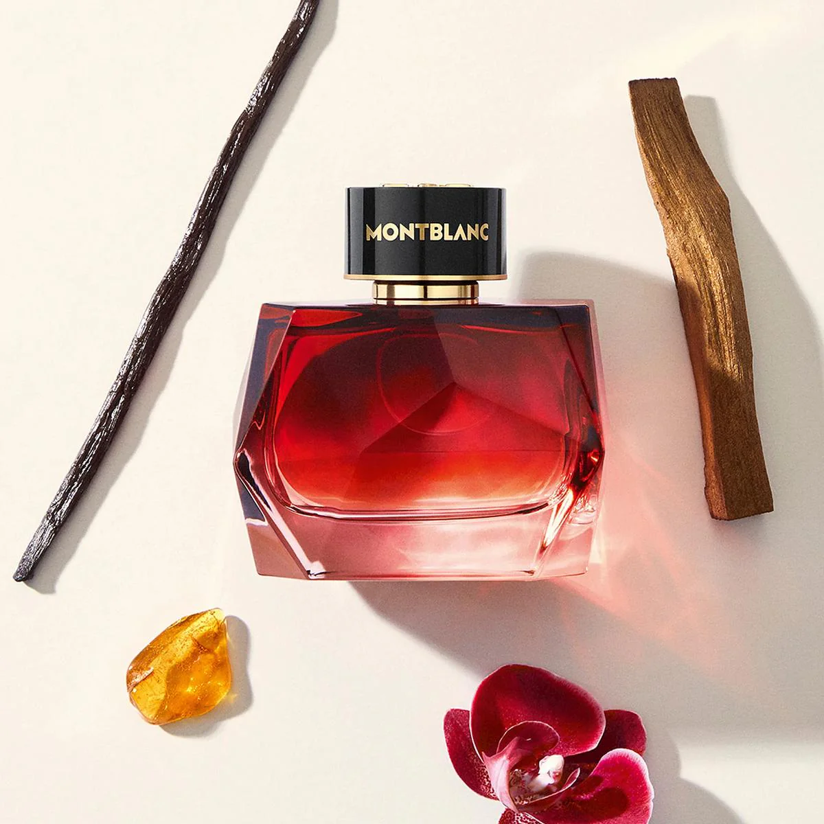 Signature Elixir Eau de Parfum - Image 5