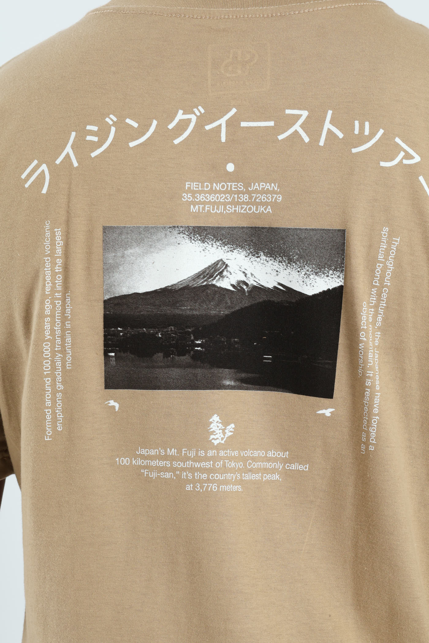 Mt Fuji Field Notes Front & Back Tee - Taupe - Image 5