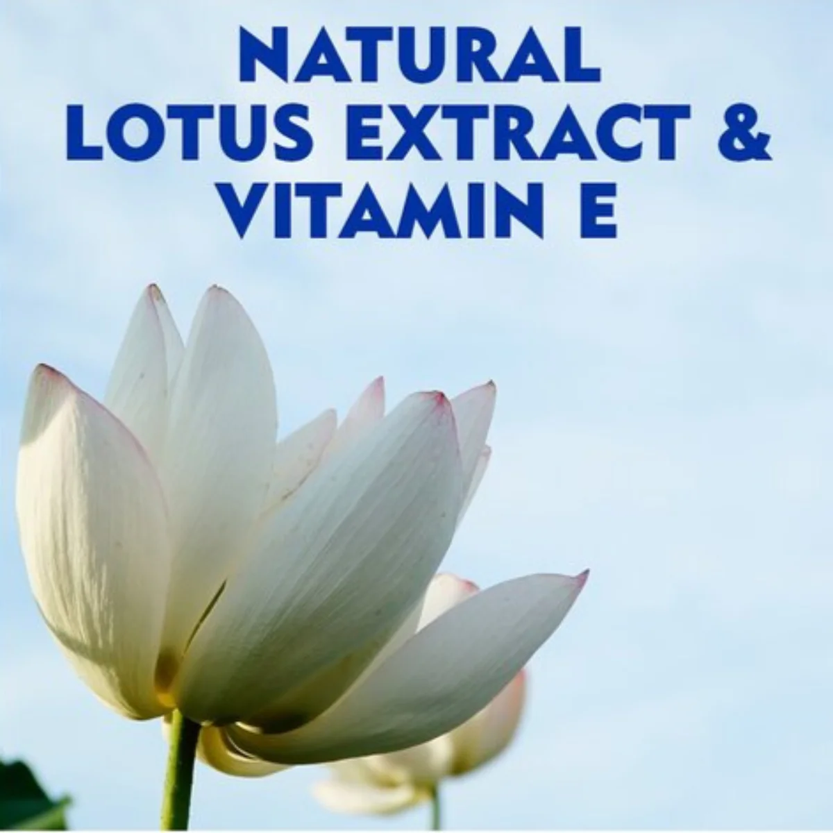 Biodegradable Cleansing Wipes Normal Skin - Image 2