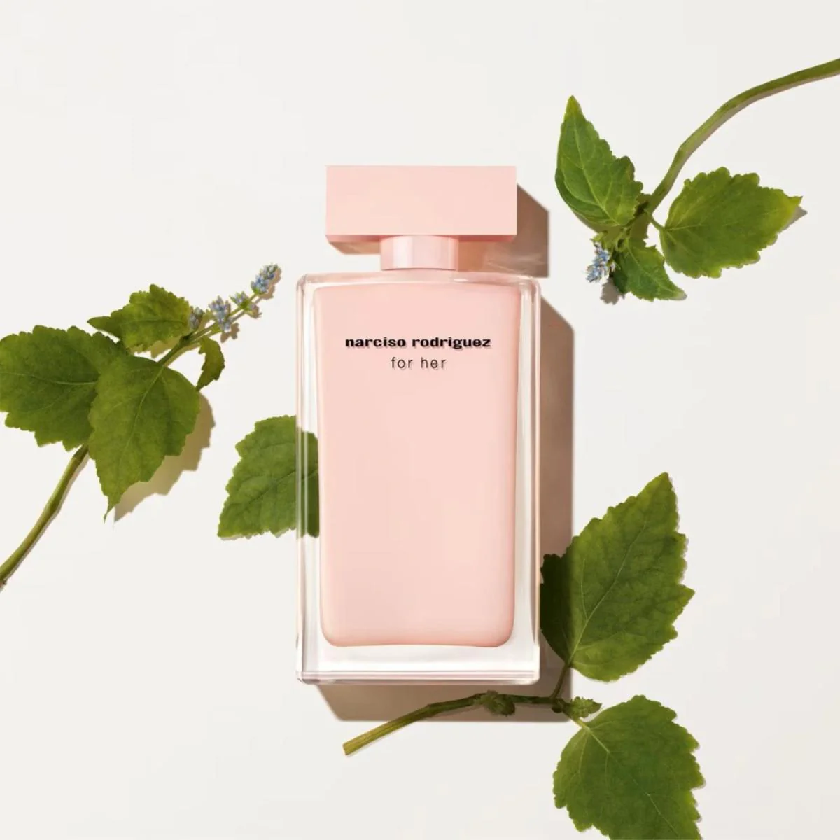For Her Eau de Parfum - 100ml Gift Set - Image 4