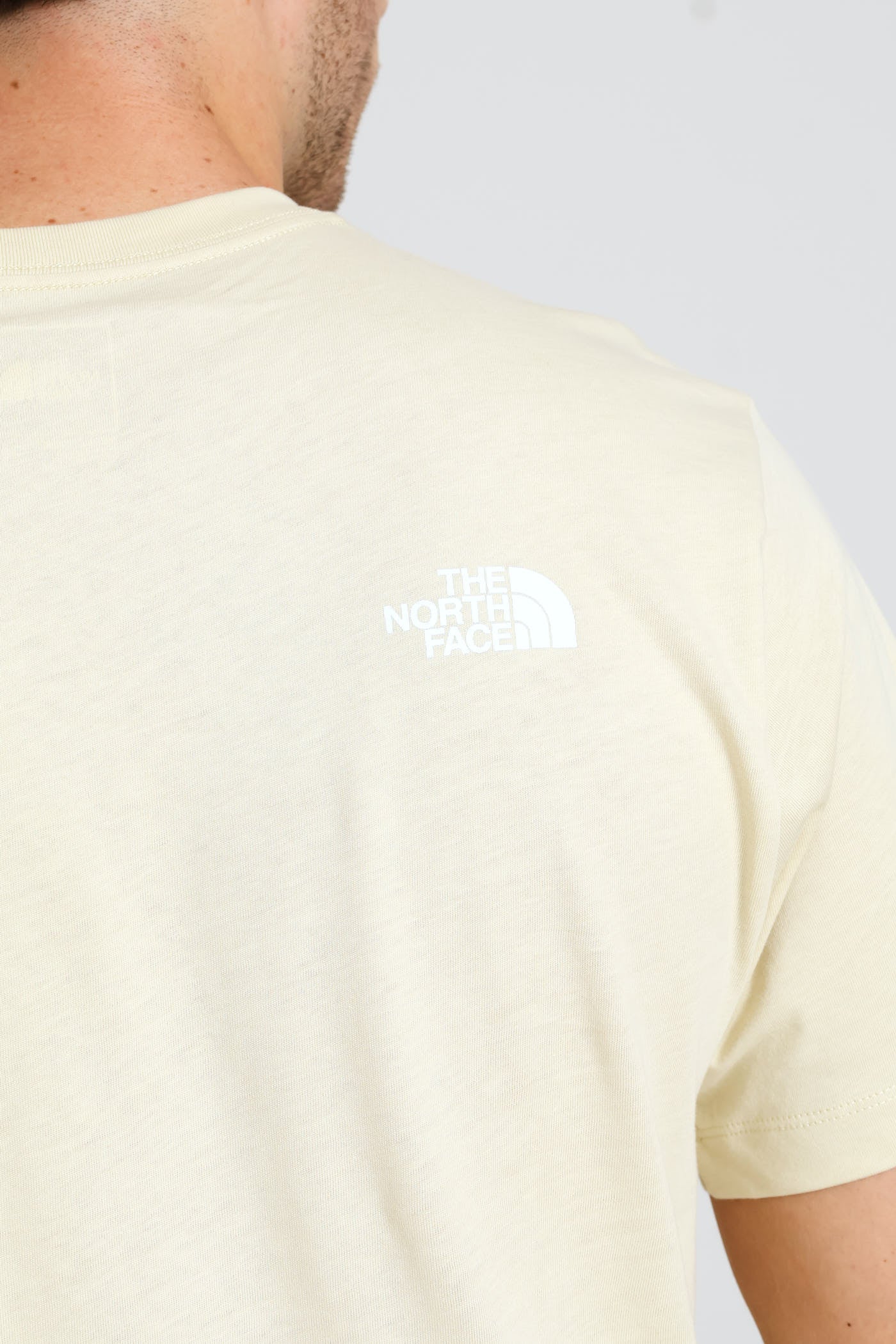 Nse Regular Tee - Cream - Image 5