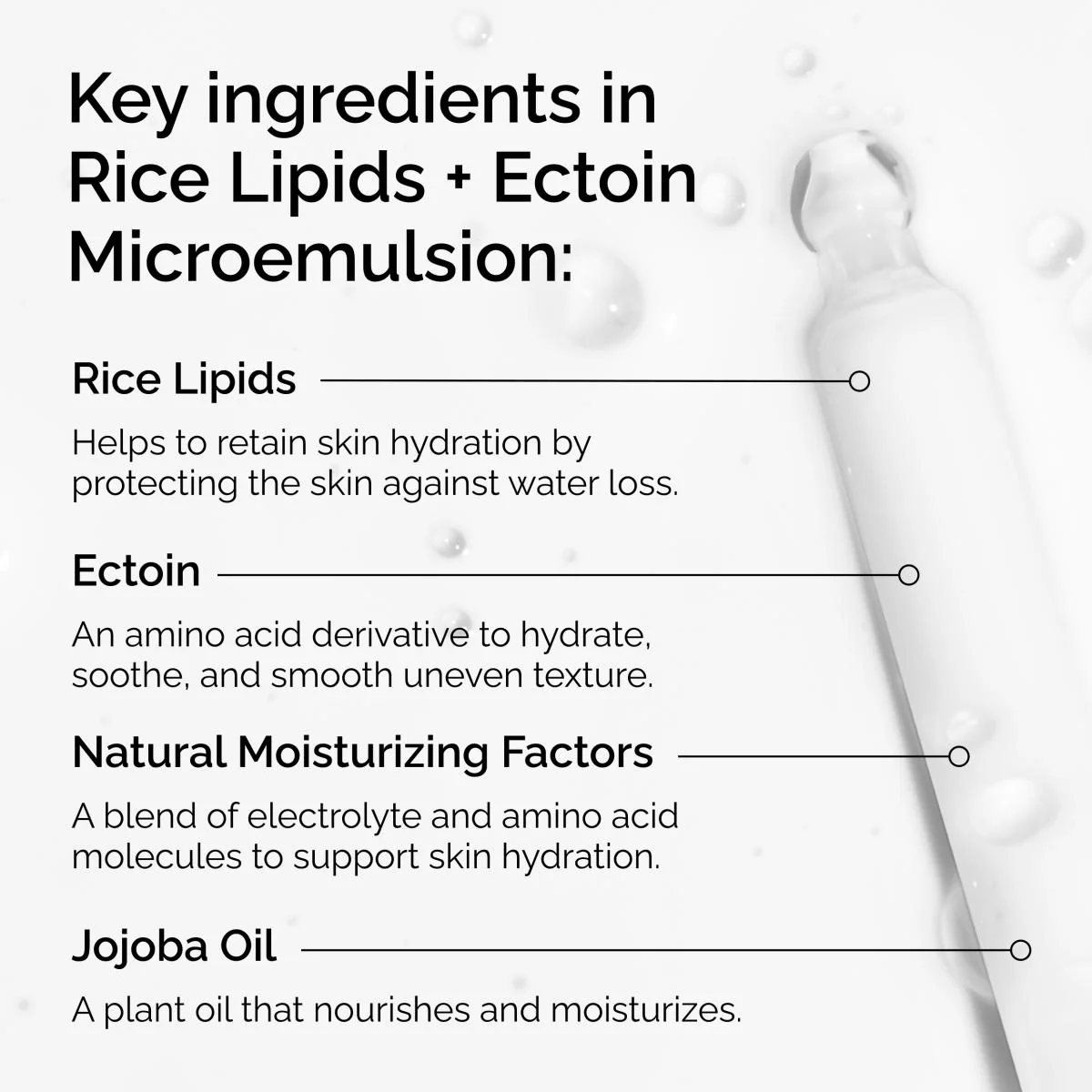 Rice Lipids + Ectoin Microemulsion | The Ordinary - Image 6
