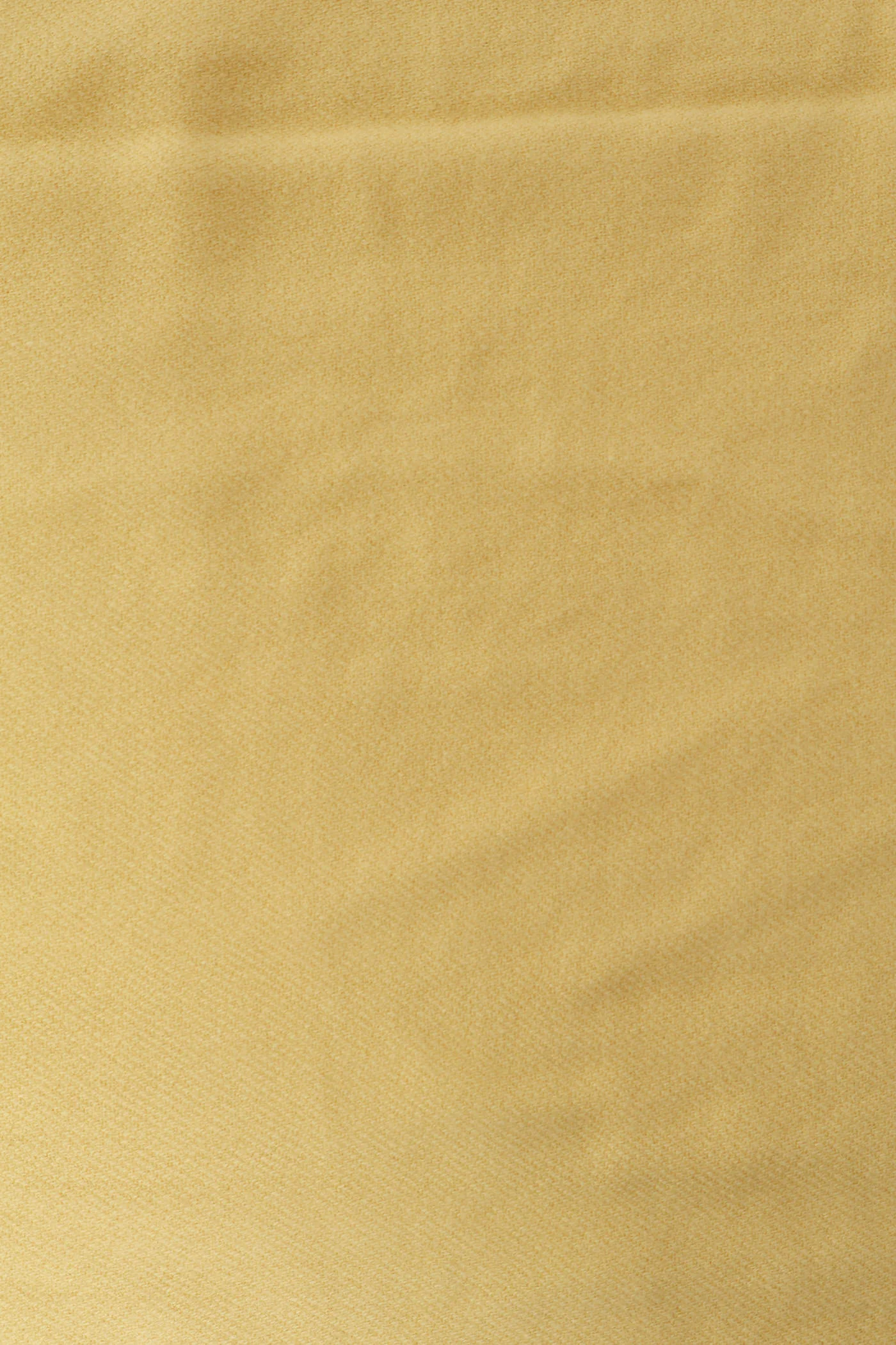 Pashmino - Lemon - Image 4