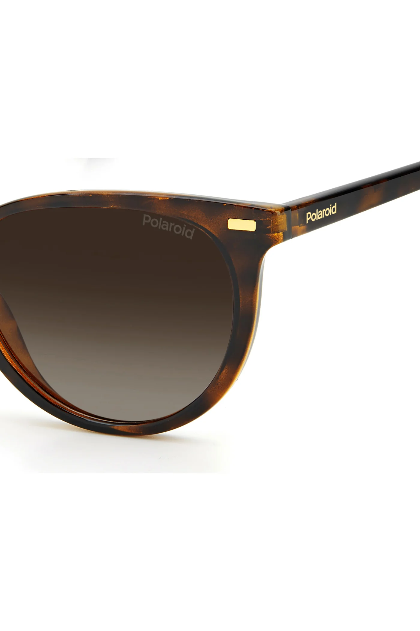 4107/S Sunglasses - Black/Brown - Image 4