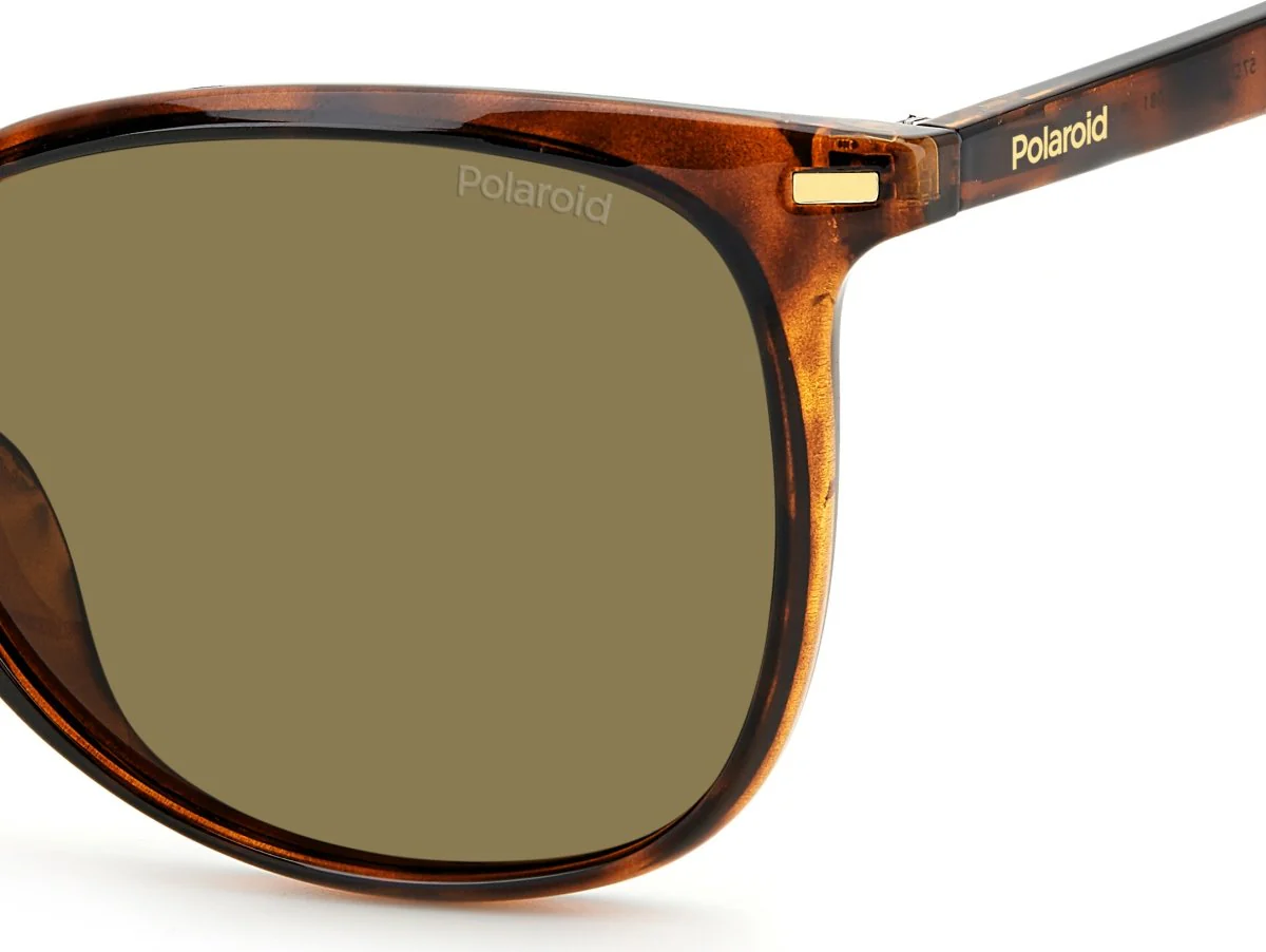 POLAROID PLD 4125/G/S - Brown - Image 2