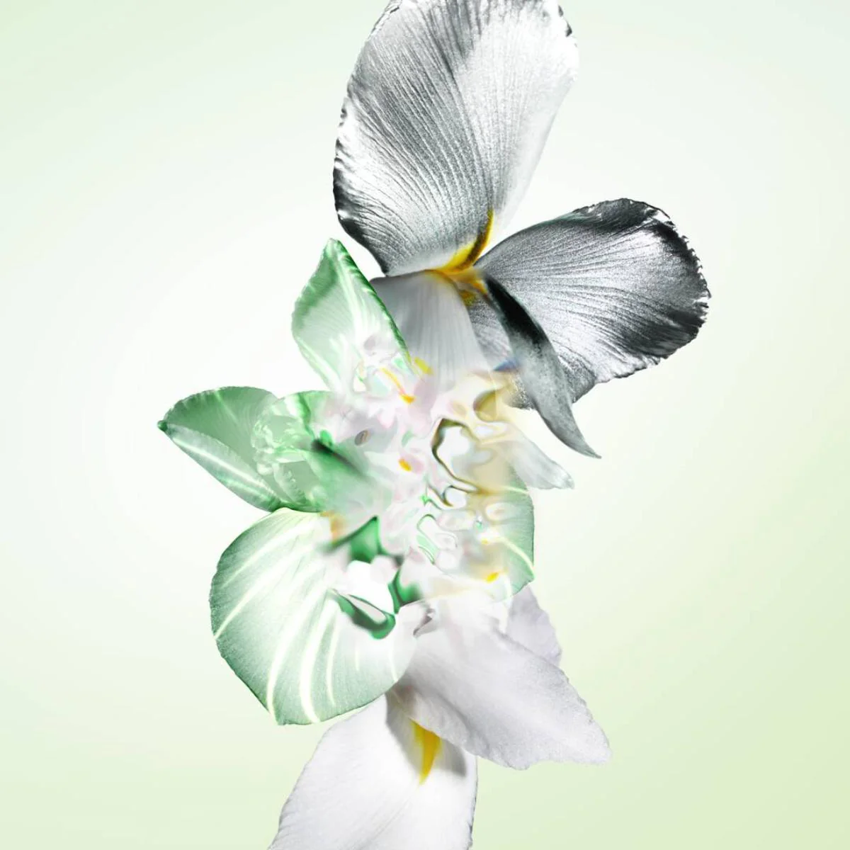 Infusion d'Iris Candle - Image 3