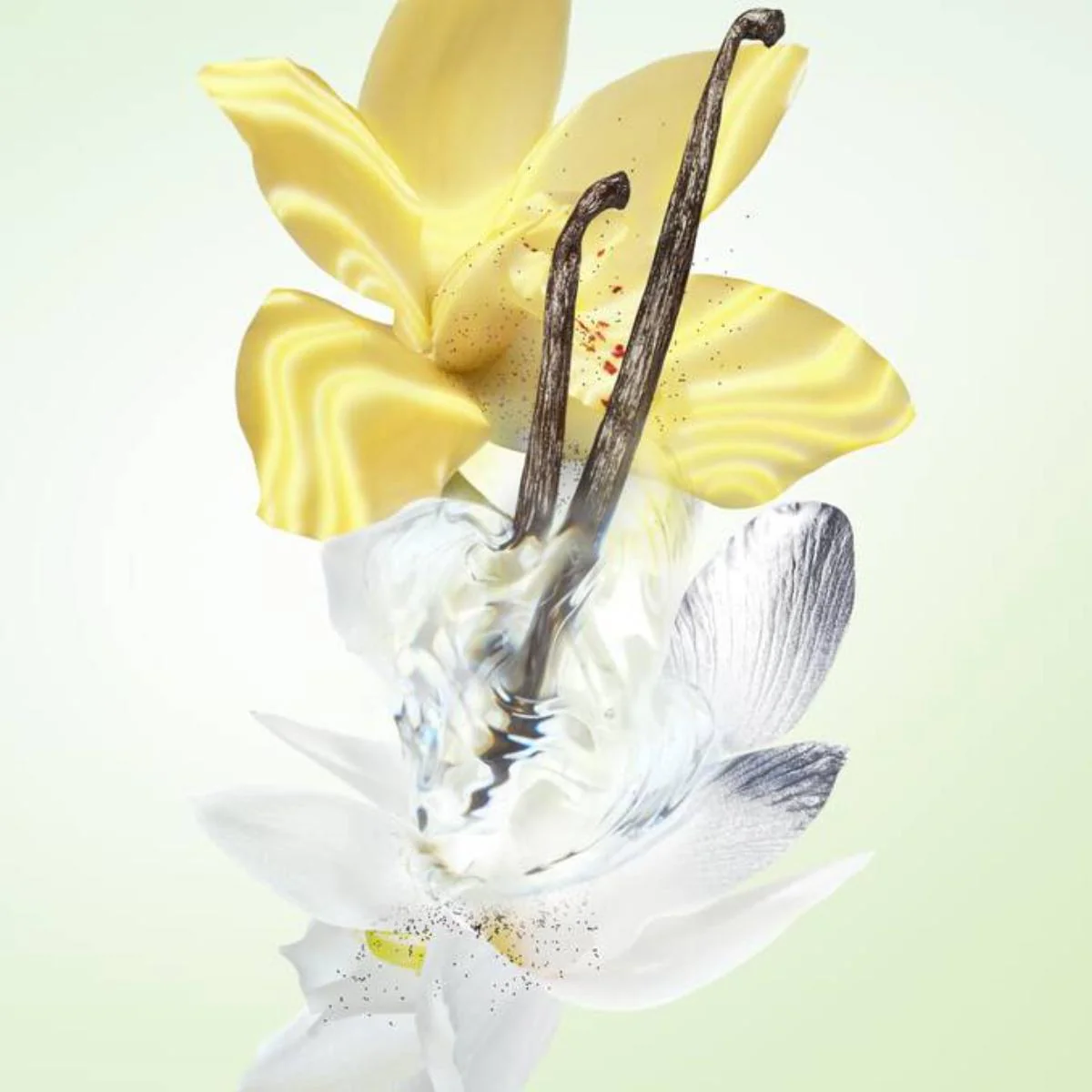 Infusion de Vanille Candle - 165g - Image 3