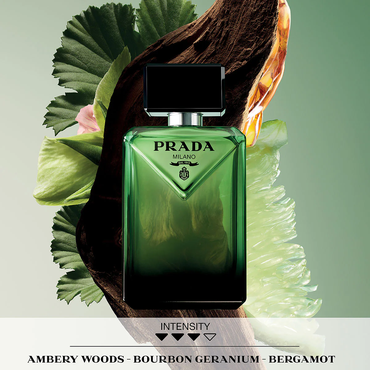 Paradigme Eau de Parfum - Image 5